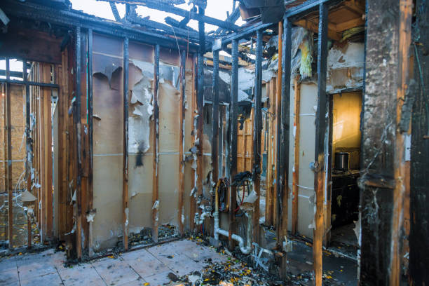 Professional Odor Removal technician working in East Bangor, PA